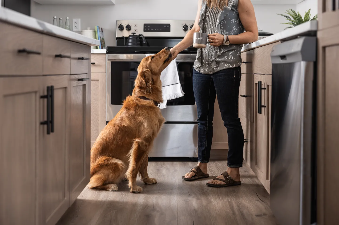 Person standing in a modern kitchen holding a mug while letting a golden retriever sniff their hand, with light wood cabinets, stainless steel appliances, and a clean, open layout visible 